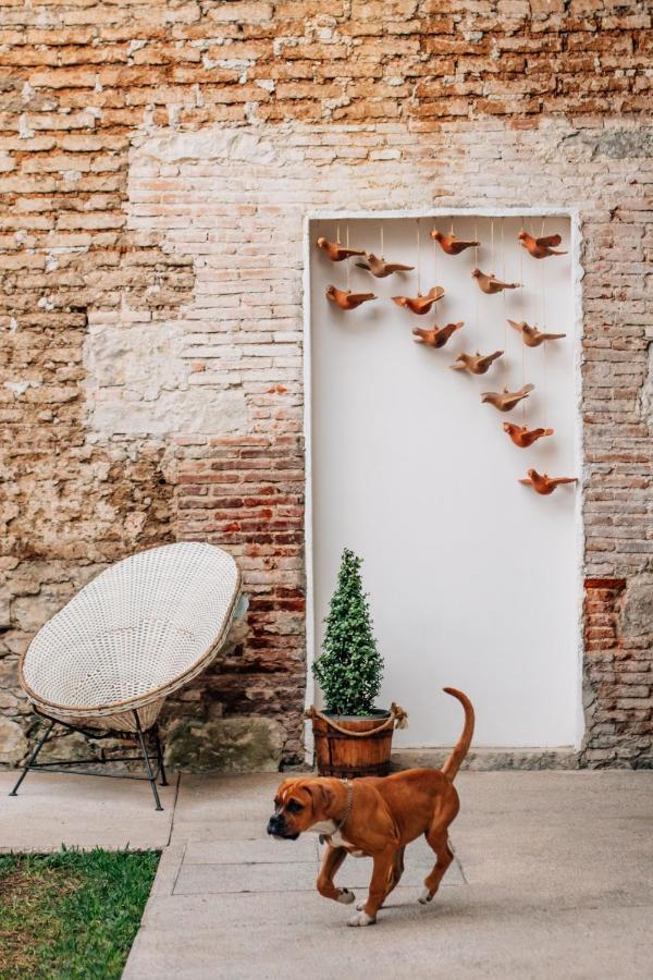 Hotel Tabaa Oaxaca Eksteriør bilde